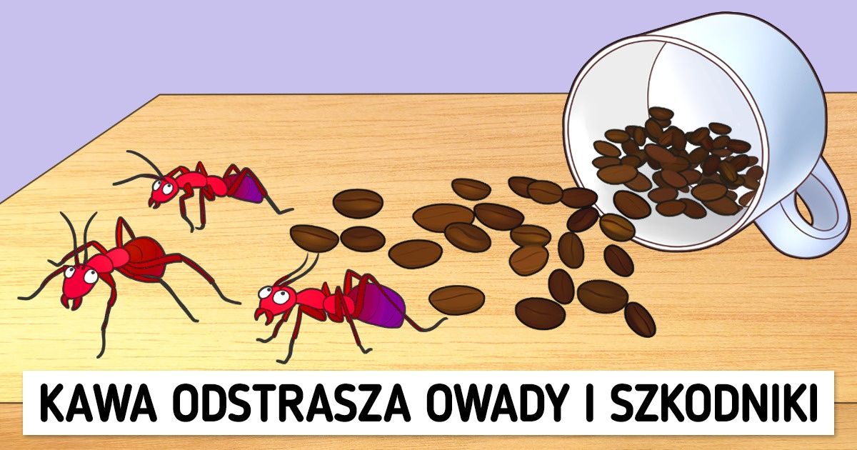 9 sposobów na wykorzystanie fusów z kawy w domu