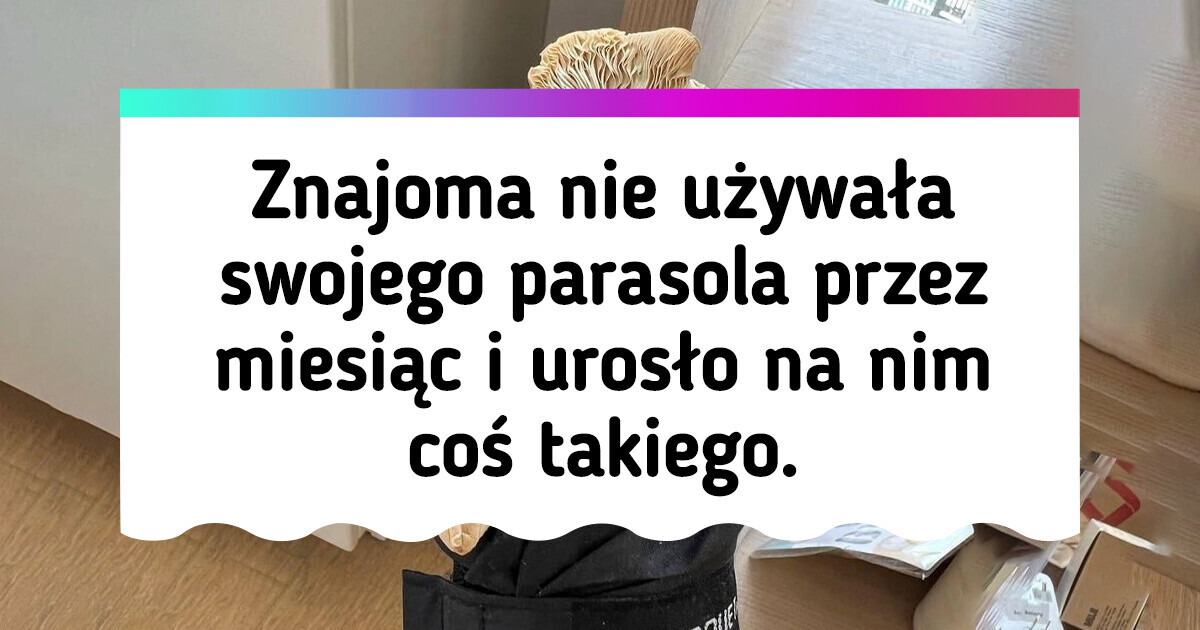 23 zdjęcia, które wyraźnie pokazują, jak działa czas