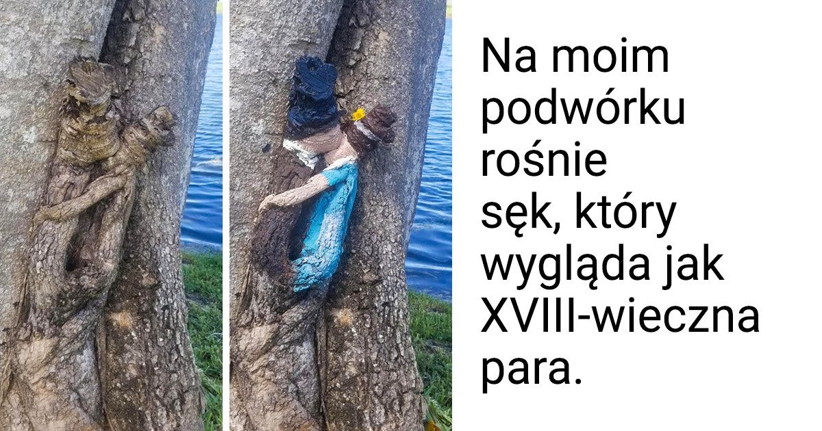 18 sytuacji, w których natura najwyraźniej usiłowała zwrócić na siebie uwagę