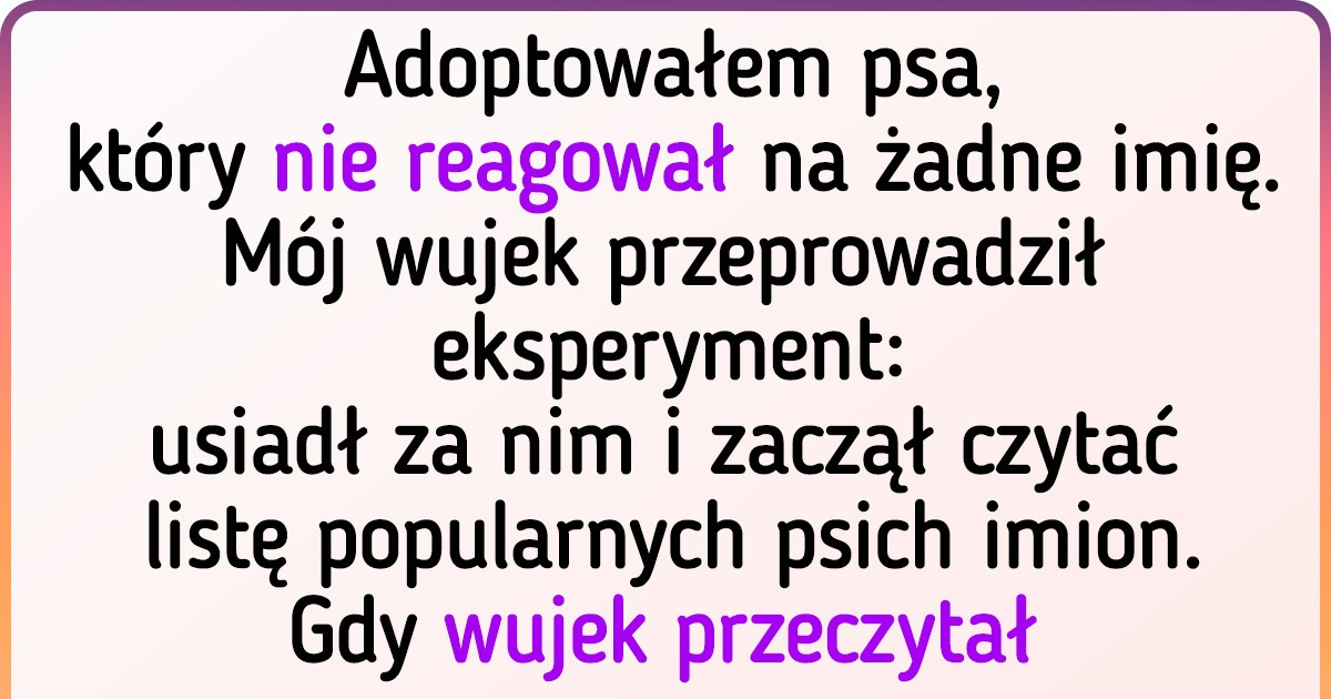 29 właścicieli zwierząt, którzy nadanie imion pupilom potraktowali jako życiową misję 29 właścicieli zwierząt, którzy nadanie imion pupilom potraktowali jako życiową misję