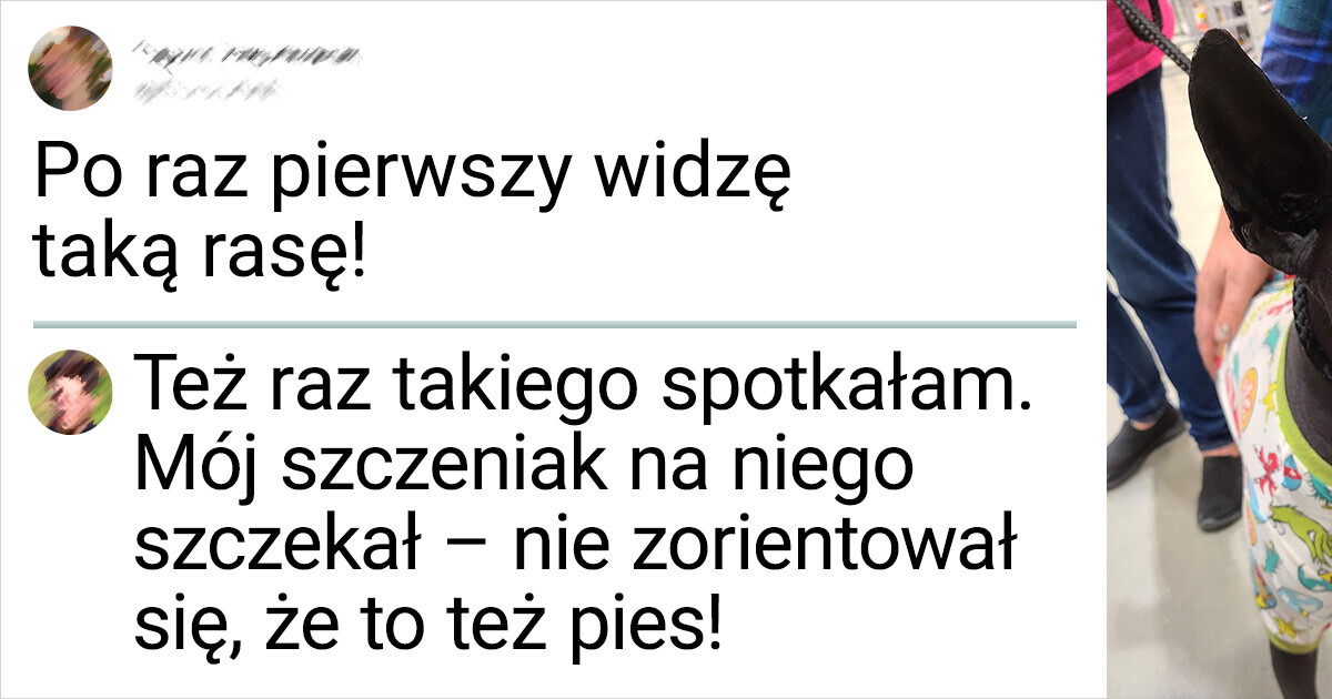 16 zwierząt, które zaskoczyły nas swoim wyglądem