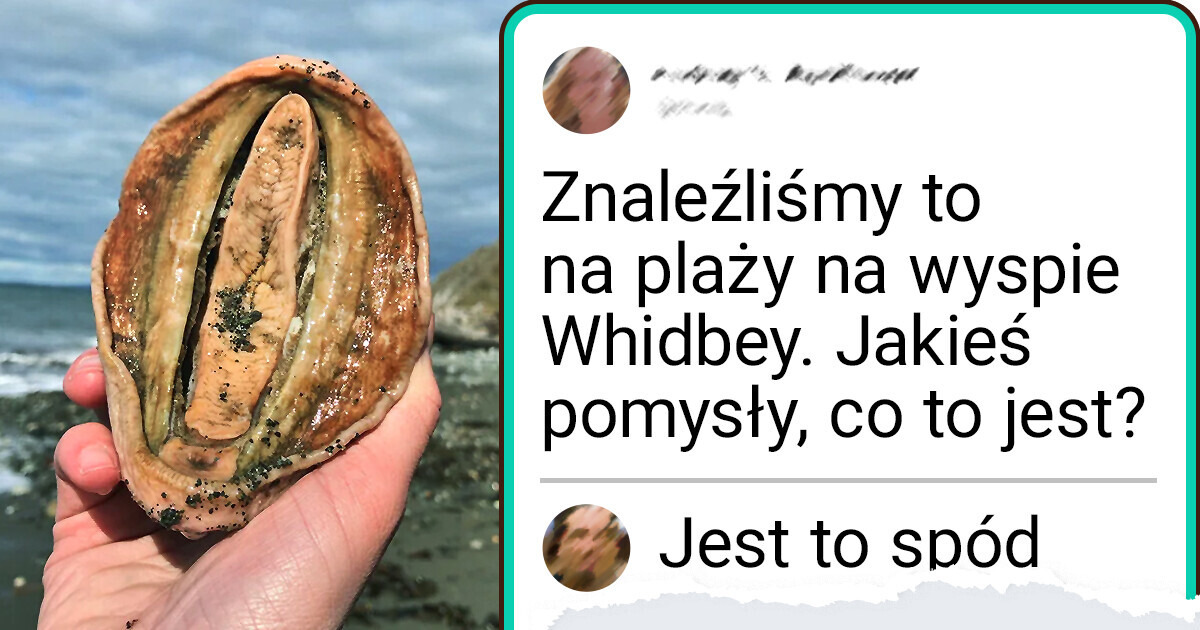 15 zagadkowych obiektów, którym mądrzy ludzie przypisali właściwe znaczenie