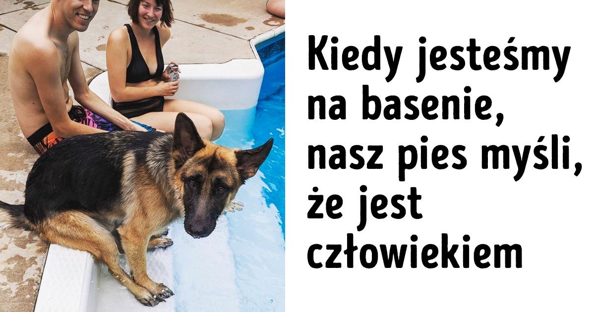 20 zdjęć dowodzących, że zwierzaki z każdym dniem upodabniają się do swoich właścicieli