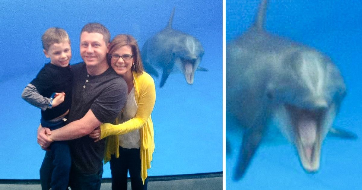 17 zdjęć, które pokazują, że zwierzęta też mają poczucie humoru