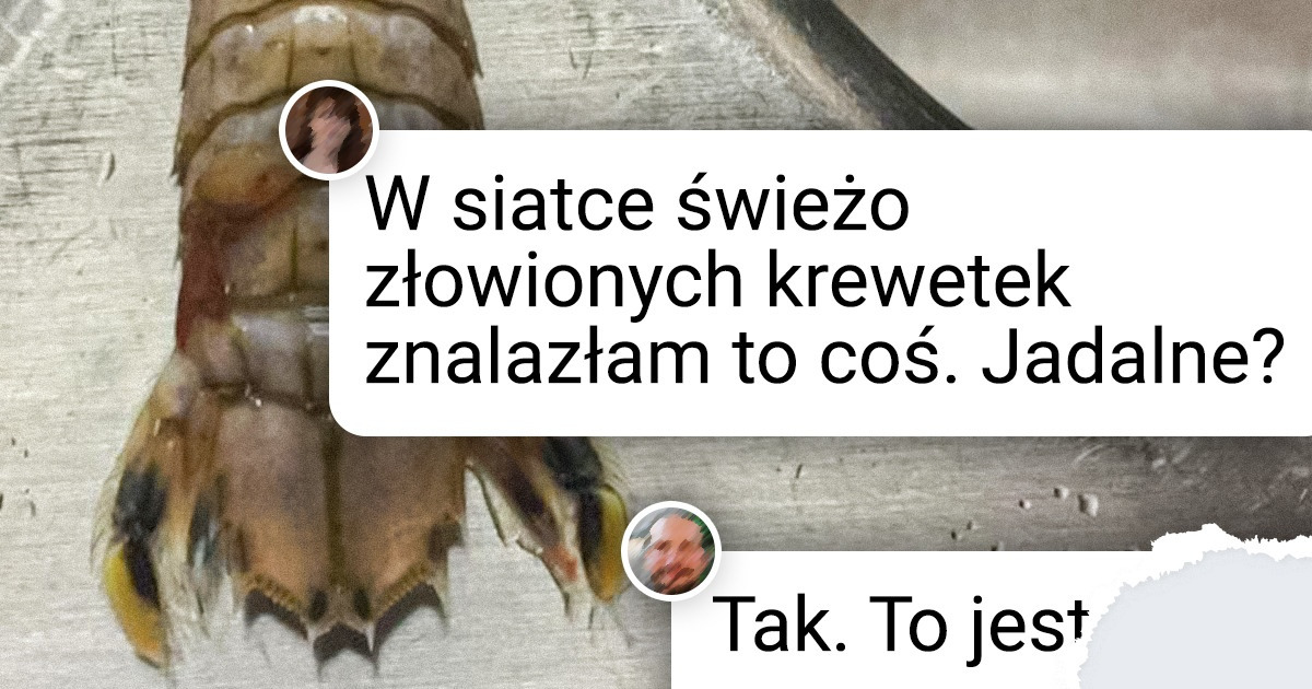 22 mieszkańców głębin przypominających kreatury z filmów science fiction