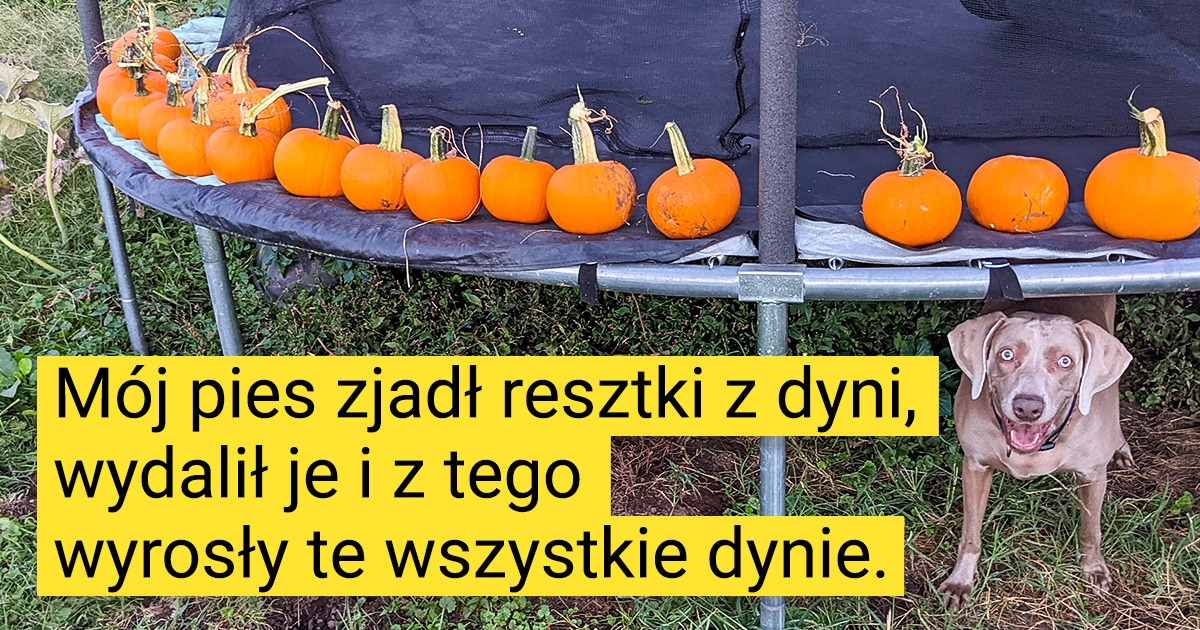 19 zdjęć, które pokazują, że przyroda ma swoje sposoby na wszystko