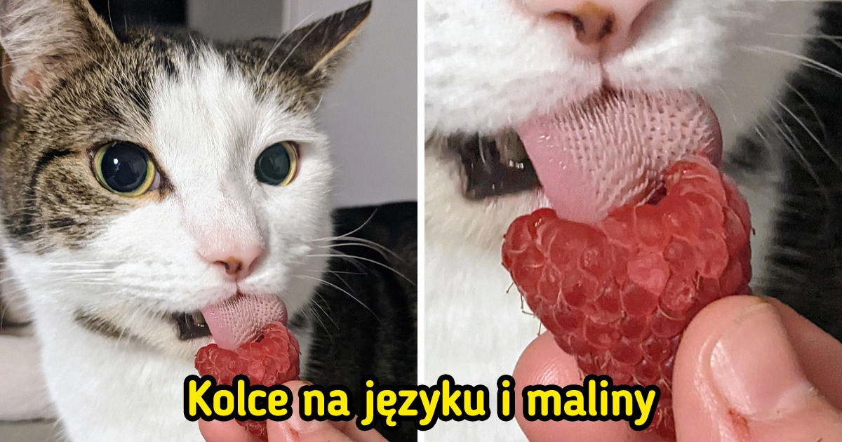 15 obrazów, które zaskakują nas w jednej sekundzie