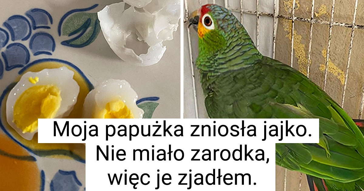 16 osób, którym udało się zobaczyć zwykłe rzeczy z niezwykłej perspektywy