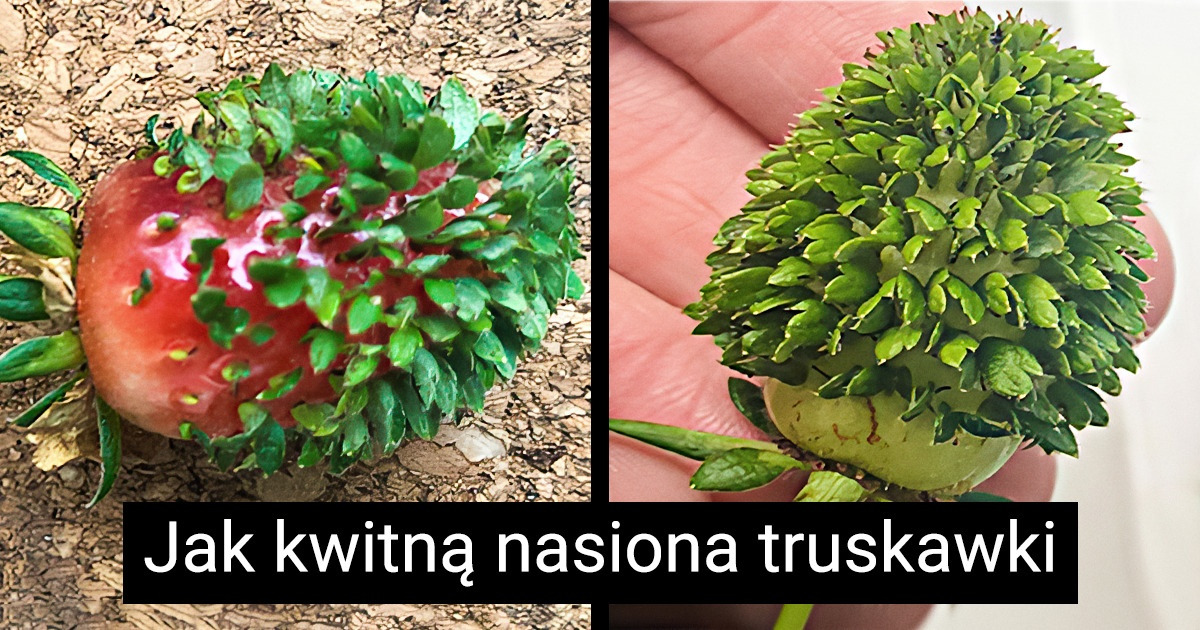 18 sytuacji, w których natura powaliła nas na łopatki