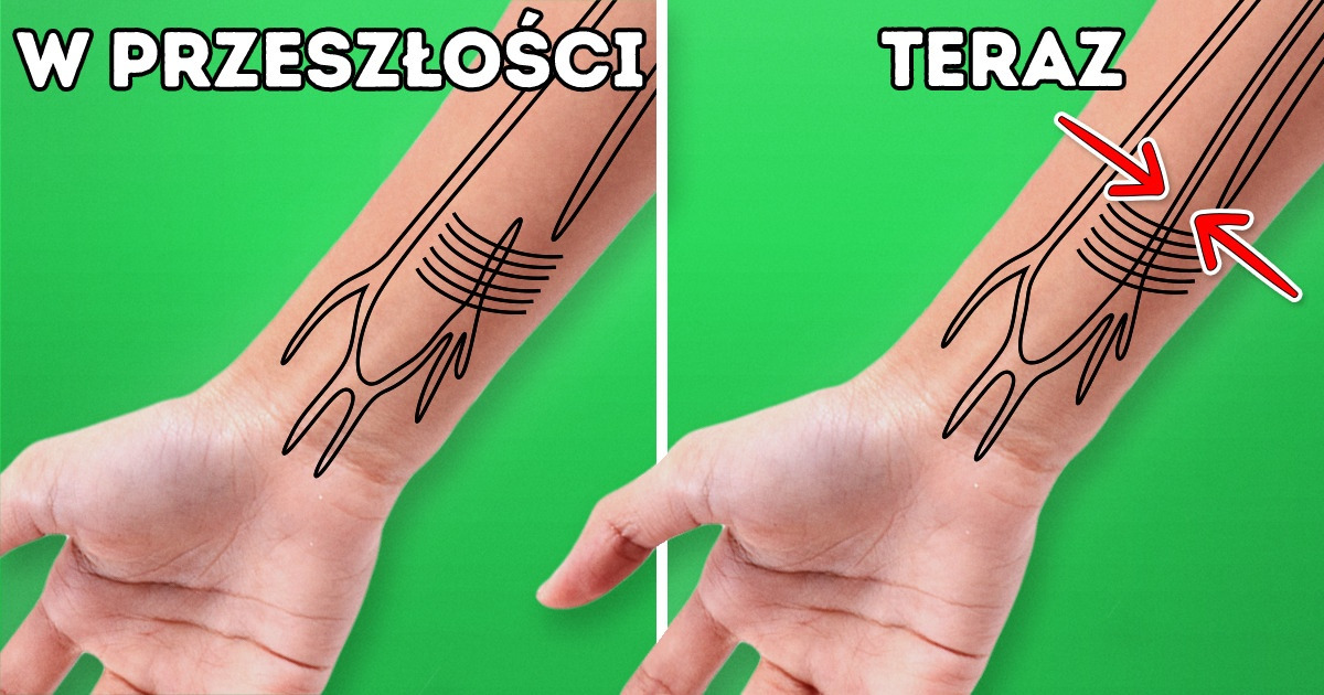 5 oznak, które świadczą o tym, że zaczęliśmy szybko ewoluować 5 oznak, które świadczą o tym, że zaczęliśmy szybko ewoluować
