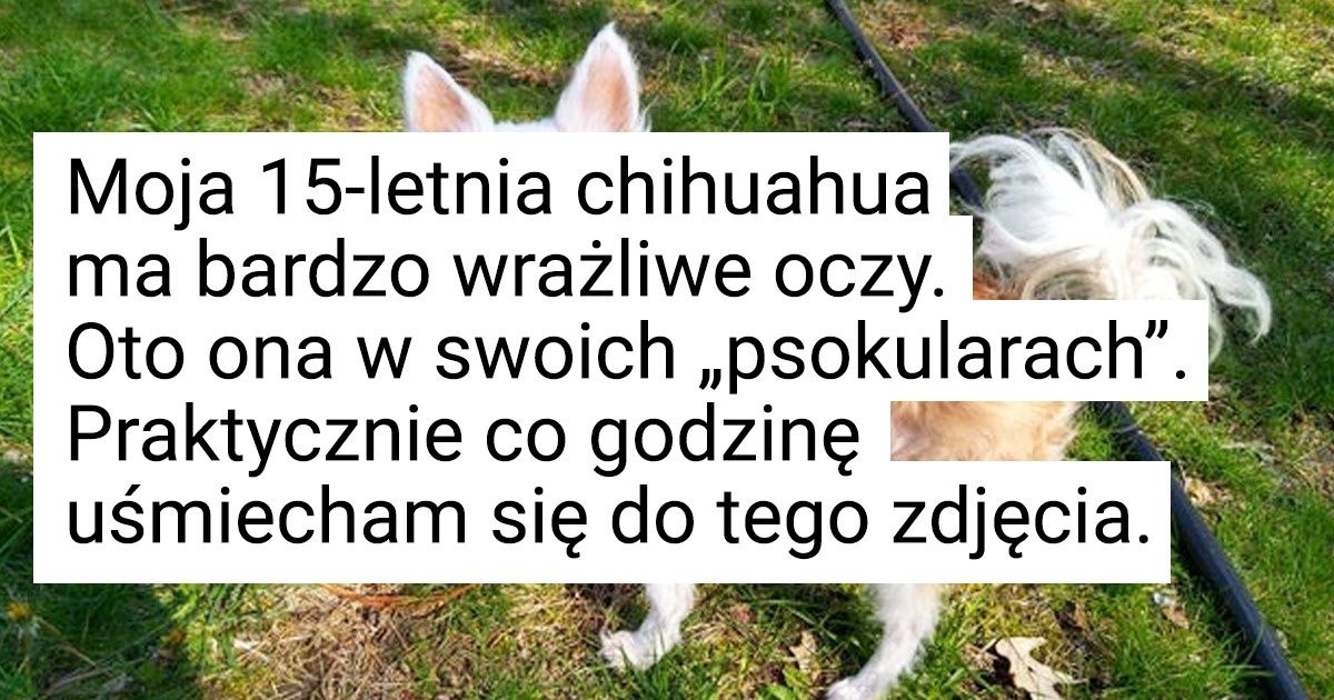 16 użytkowników podzieliło się radosnymi chwilami, które sprawiły, że w tym miesiącu uśmiechali się od ucha do ucha