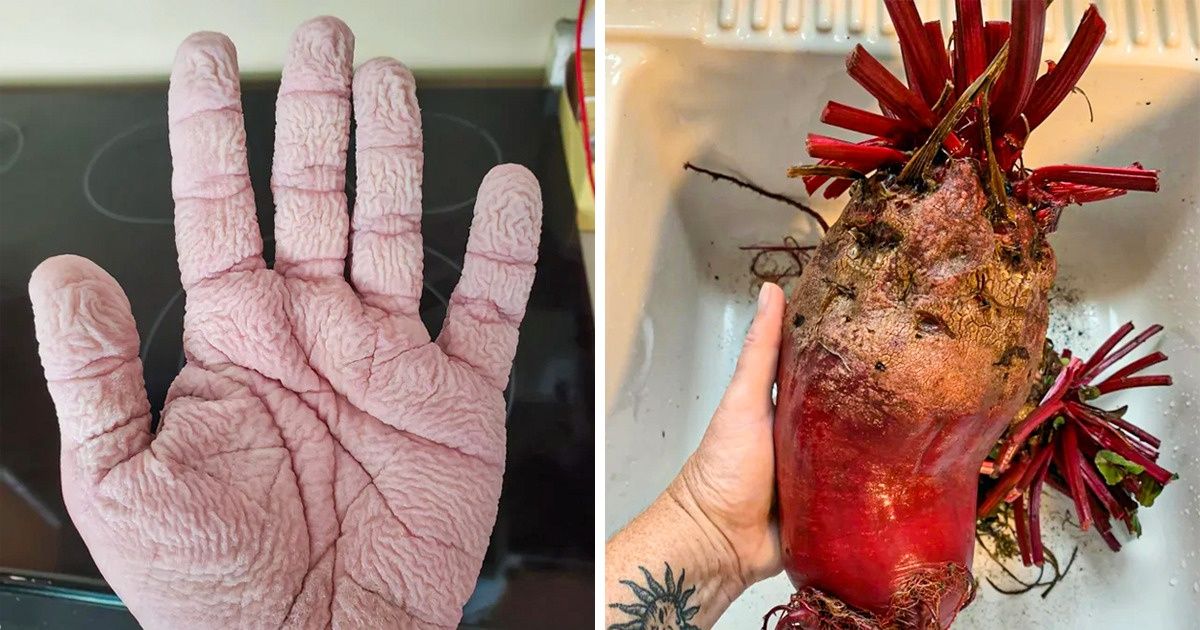 18 zdjęć, które pokazują, że natura jest naprawdę niezwykła