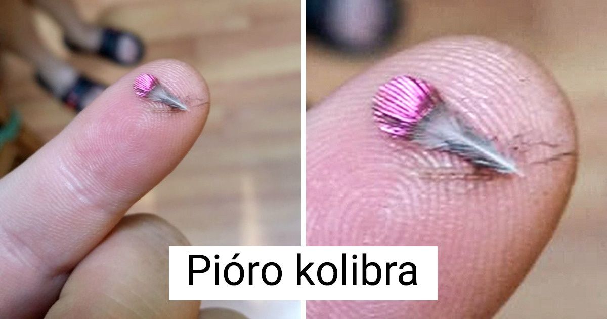 15 znalezisk równie niezwykłych, co nieoczekiwanych