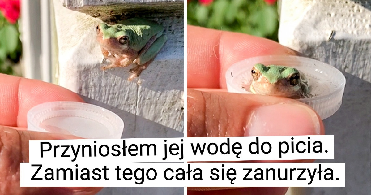 23 zdjęcia, które pokazują, że świat jest pełen dobrych ludzi
