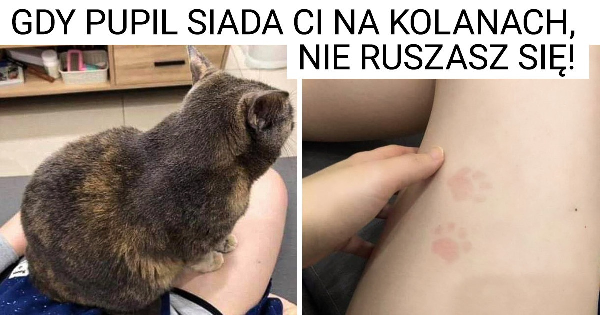 16 niezwykłych relacji ze zwierzętami, które są cenniejsze niż złoto