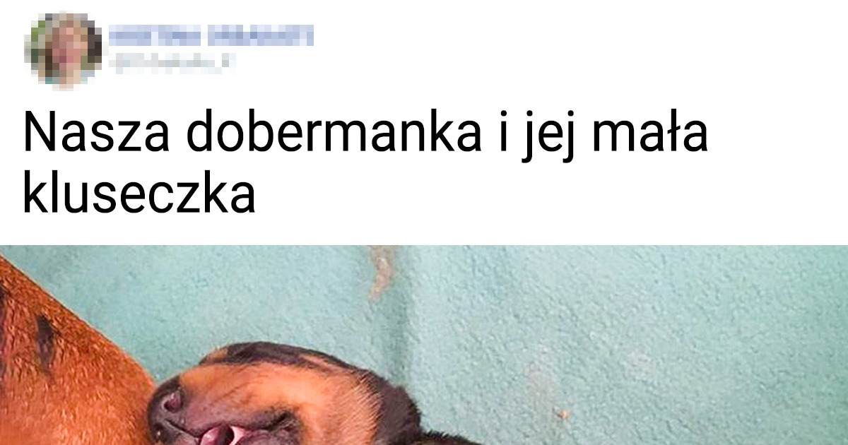 21 zdjęć, od których zrobi ci się ciepło na sercu