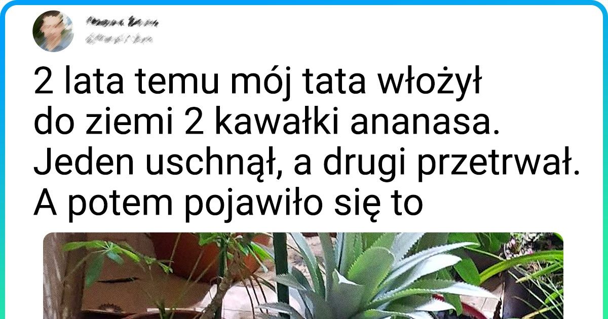 20 niespodzianek od życia, które oszołomią każdego miłośnika świata przyrody