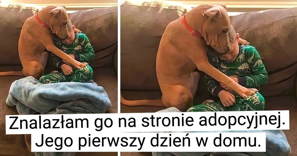 20 właścicieli zwierzaków i ich „dzieci”, którzy kochają się do szaleństwa
