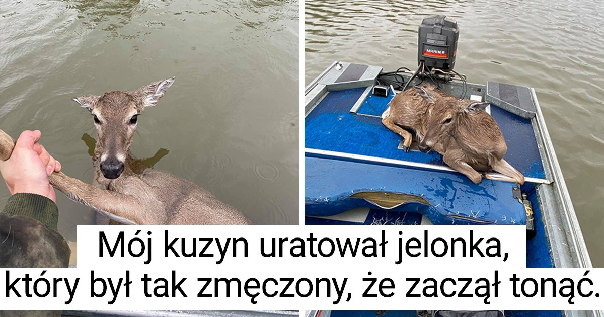 19 osób o gołębim sercu