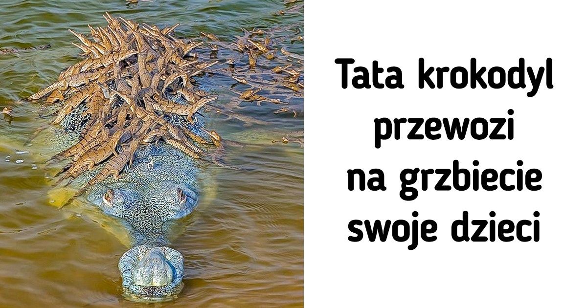 20 zdjęć, które udowadniają, że świat jest pełen zaskakujących zjawisk