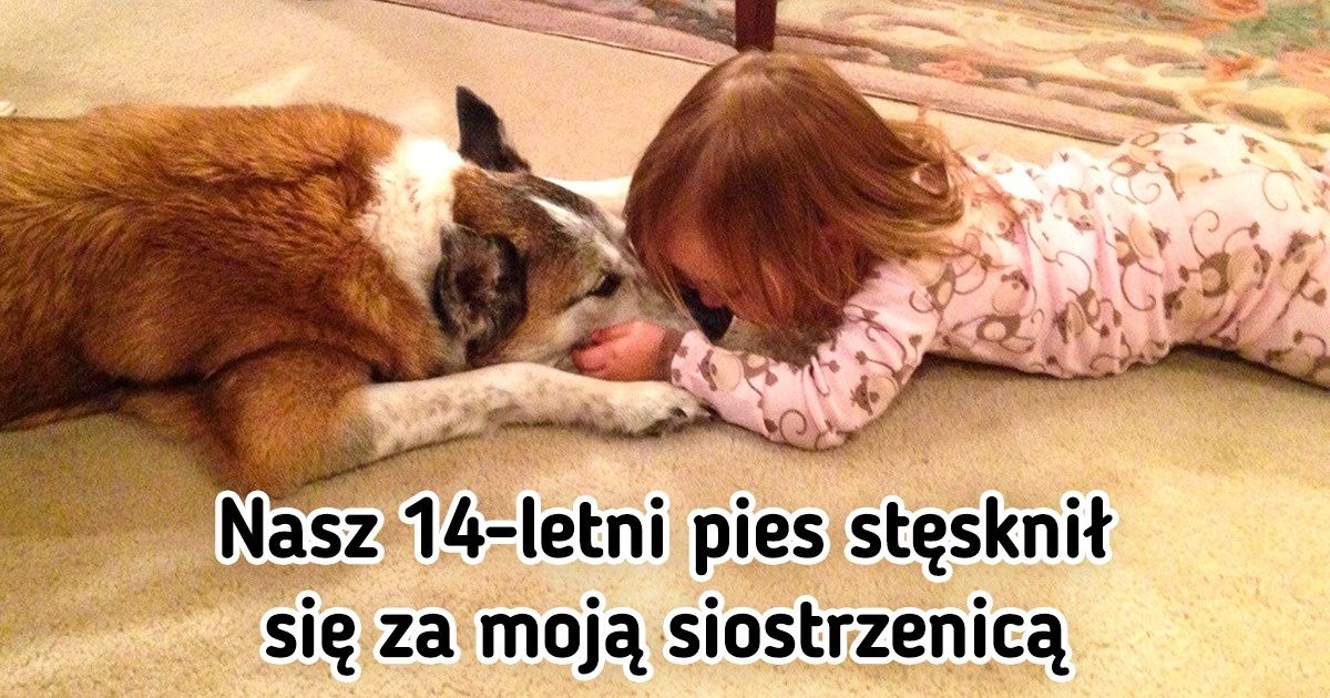 22 wiekowe zwierzęta, które nigdy nie przestały kochać swoich właścicieli