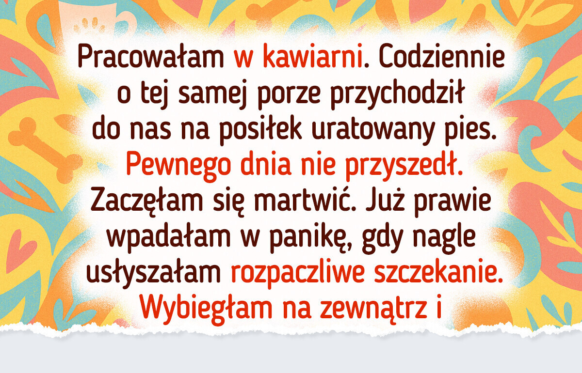 10 sytuacji, w których dobroć okazała się jedynym lekarstwem na złamane serce 10 sytuacji, w których dobroć okazała się jedynym lekarstwem na złamane serce
