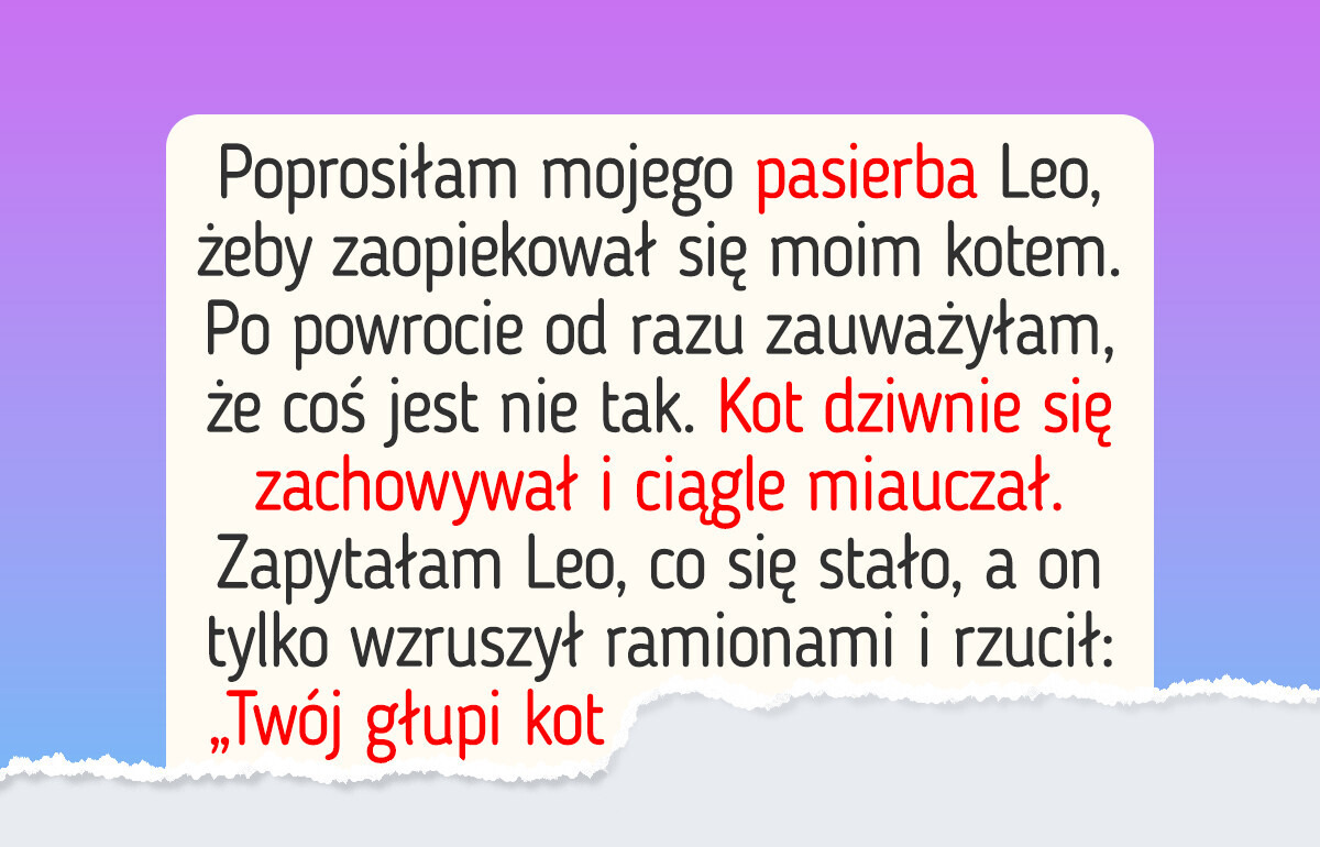 Mój pasierb miał tylko przypilnować kota, a skończyło się wielką awanturą