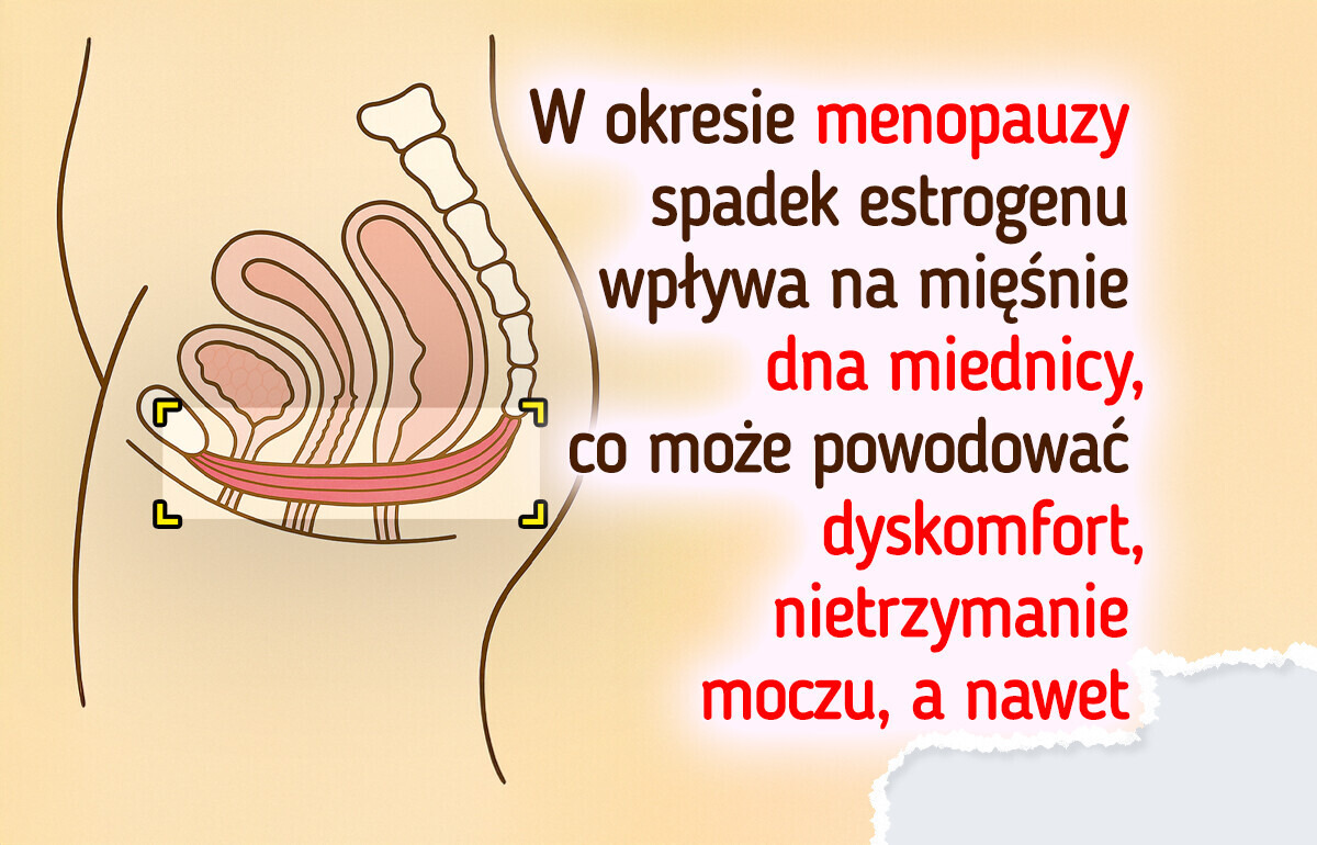 7 faktów o dnie miednicy, które powinna poznać każda kobieta