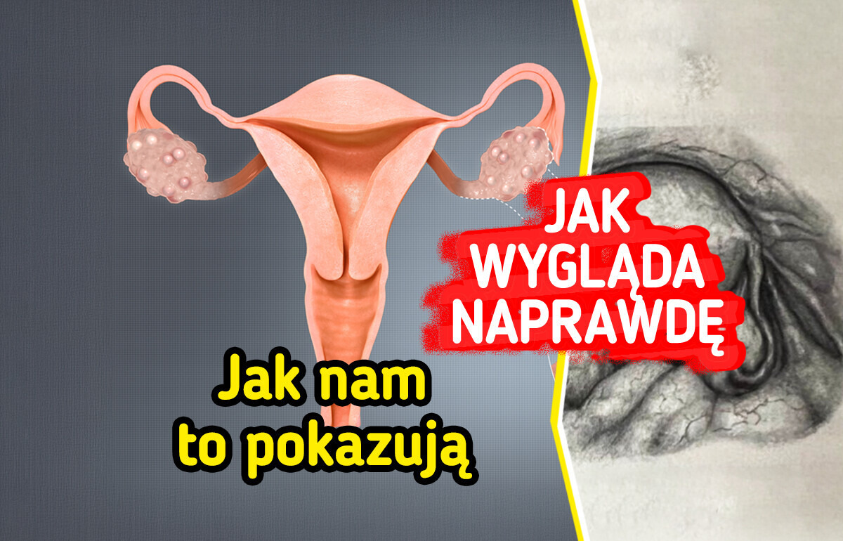 10 mało znanych i niesamowitych faktów o ludzkim ciele