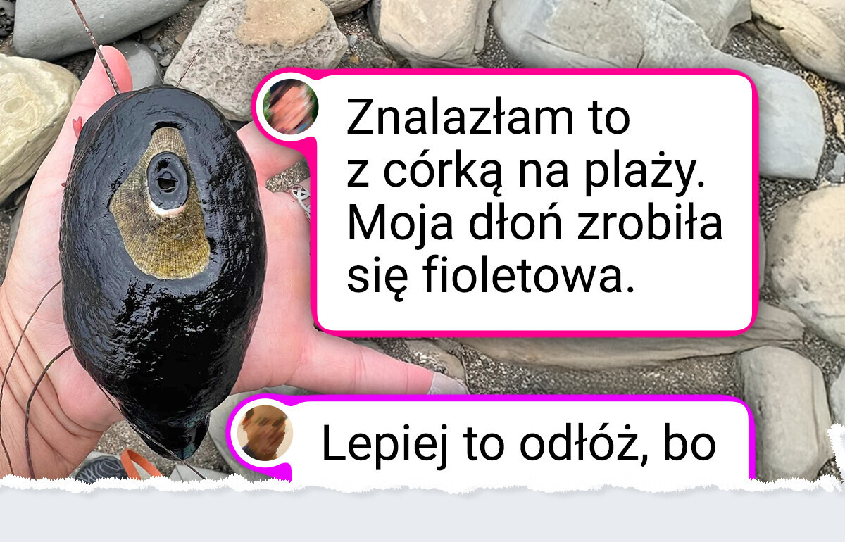 24 cuda natury, które ludzie znaleźli, po prostu wychodząc na spacer