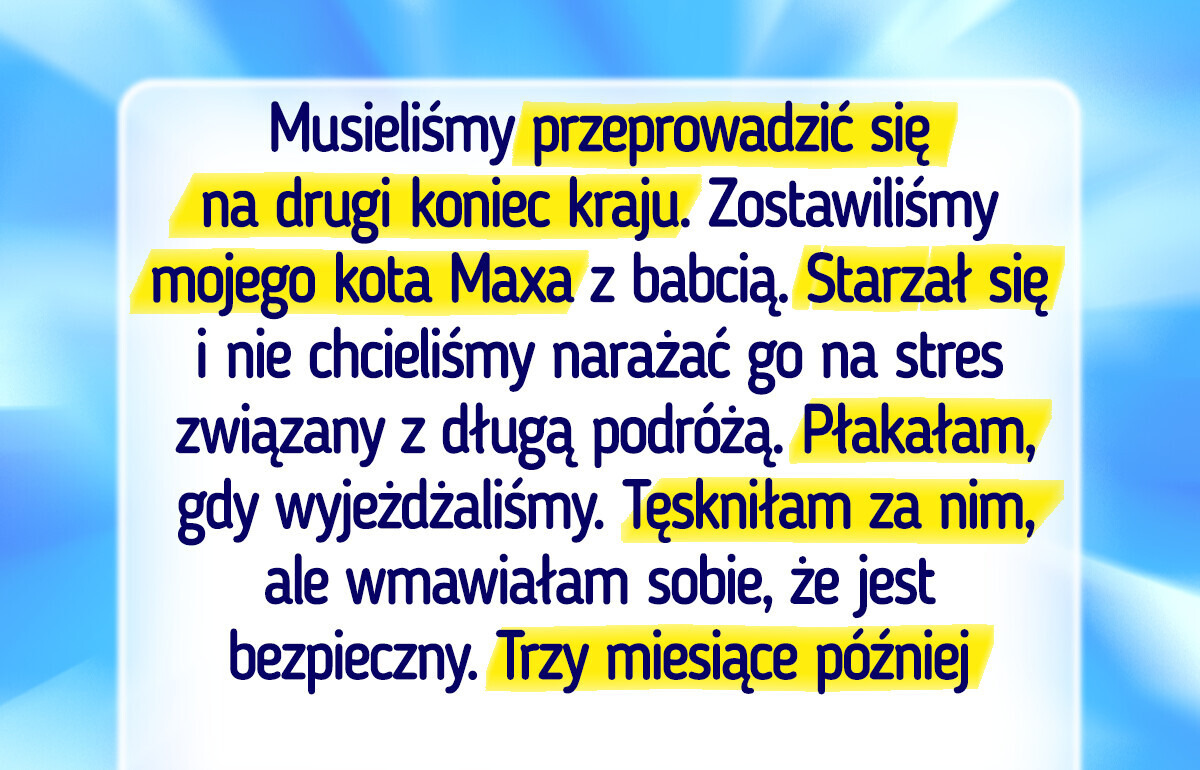 13 rozczulających historii, które udowadniają, że koty mają wielkie serce 13 rozczulających historii, które udowadniają, że koty mają wielkie serce