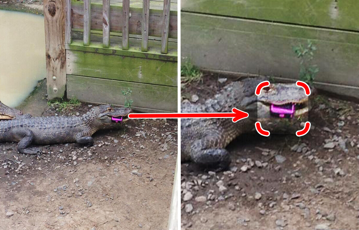 13 zdjęć zabawnych, ale na pewno frustrujących pomyłek