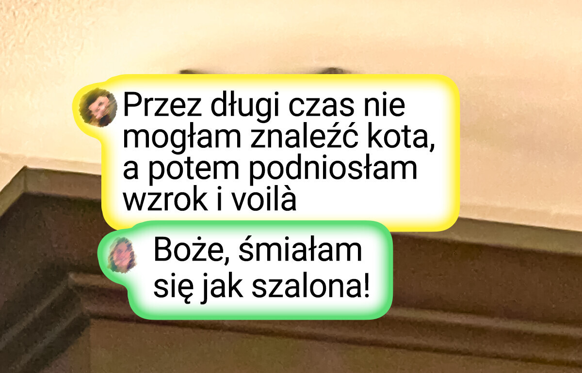 25 zabawnych zdjęć pod hasłem „Znajdź zwierzaka”
