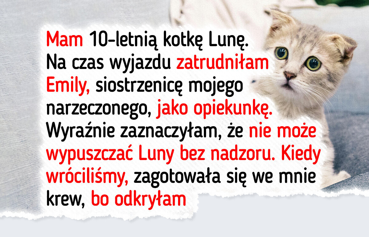 Opiekunka mojego kota była nieodpowiedzialna, więc odmówiłam zapłaty — moja rodzina się z tym nie zgadza