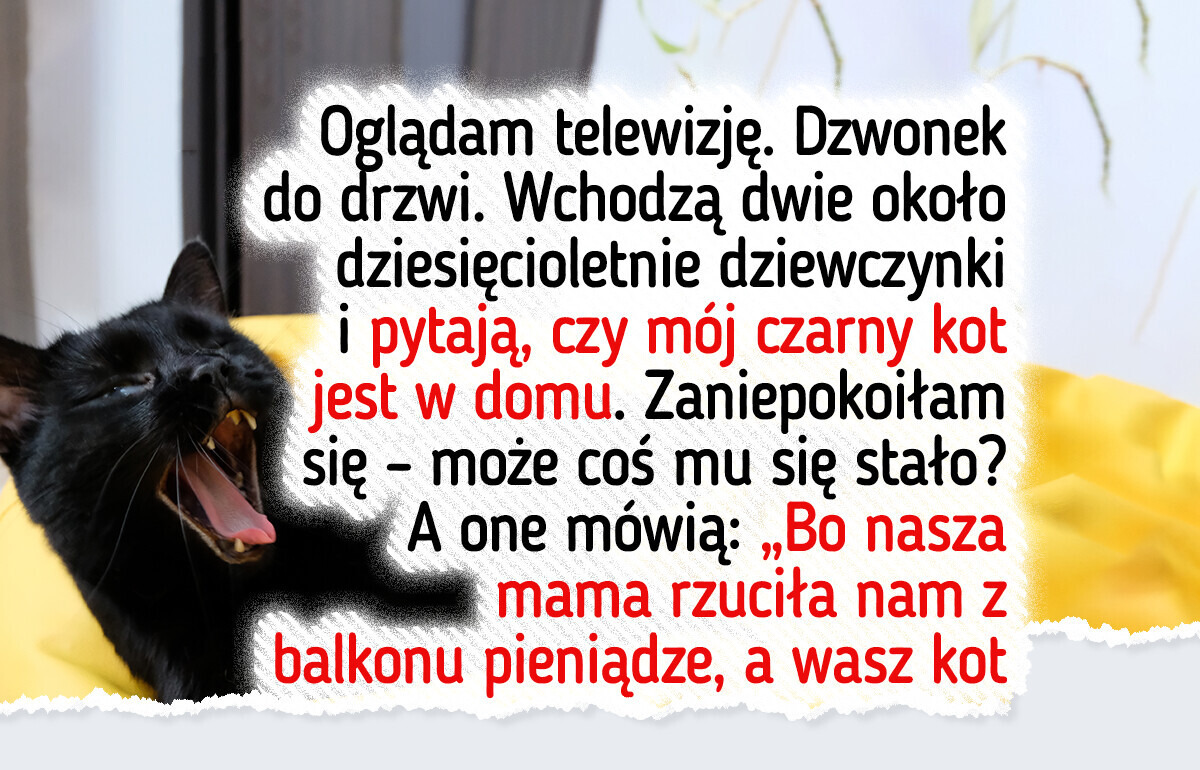 22 zwierzaki, które żyją po swojemu, a właściciele mogą tylko filmować i wzdychać