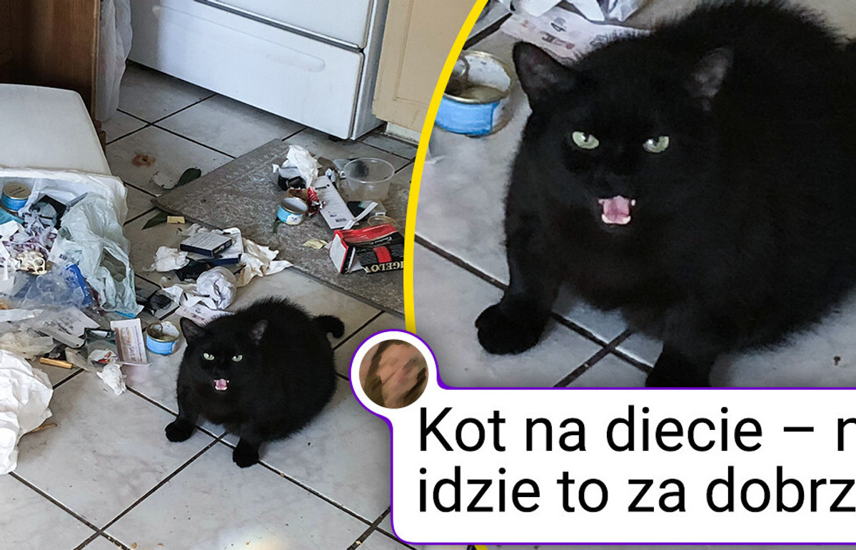 24 urocze zwierzaki, które natychmiast poprawią ci humor i rozgrzeją serce