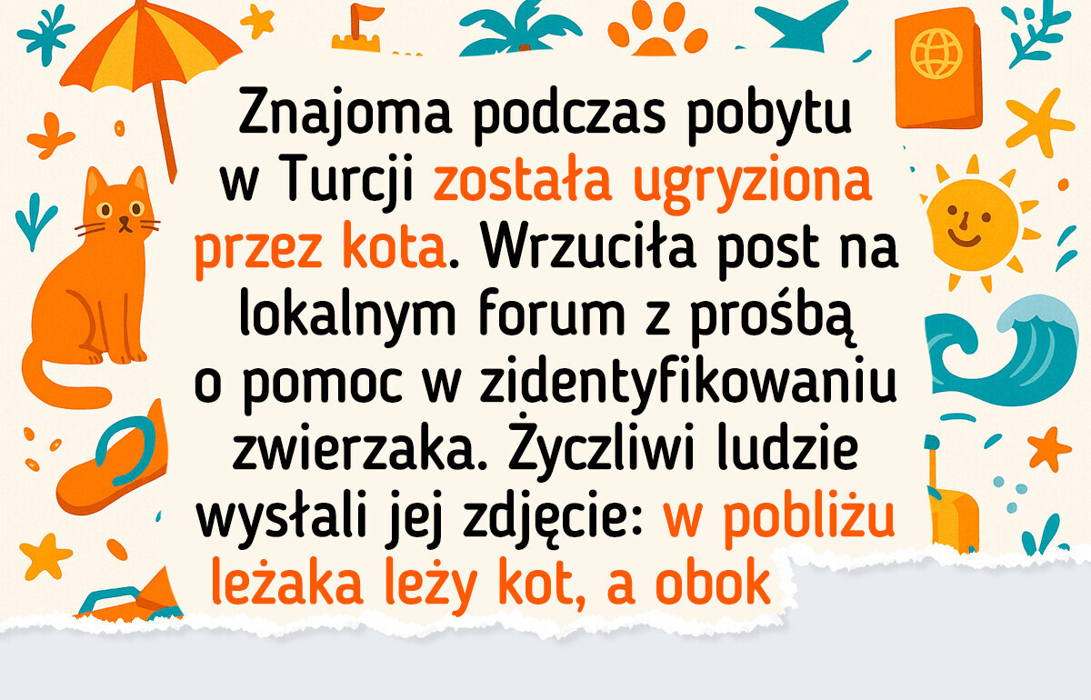 20 zabawnych historii o naszych domowych zwierzakach