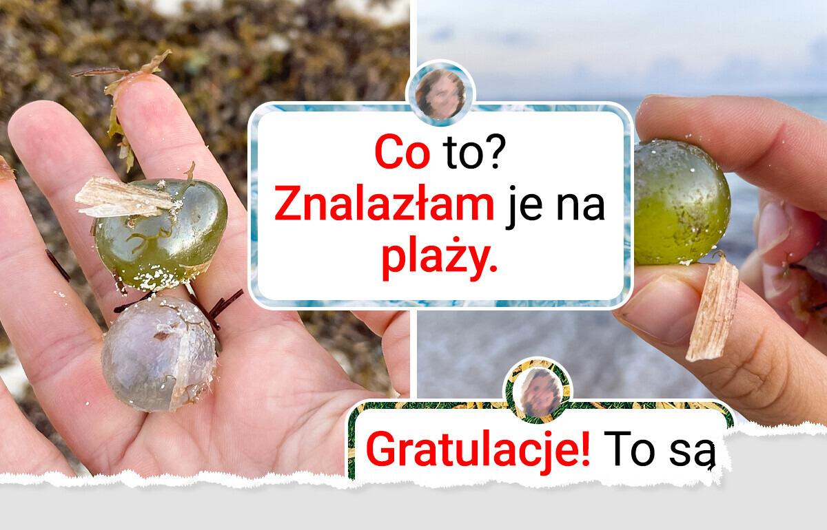12 niezwykłych znalezisk, które zmienią twoje podejście do rzeczywistości