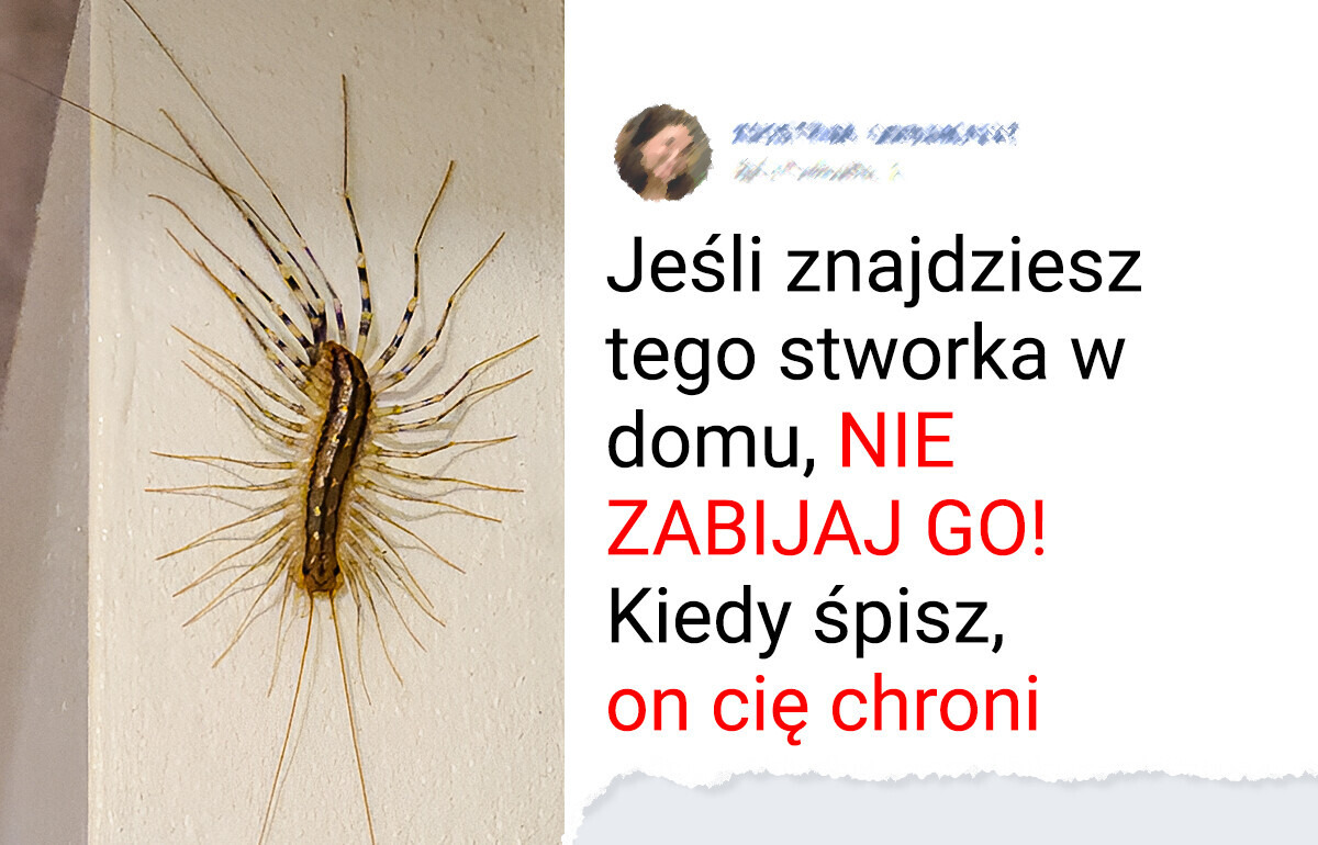 8 zwierząt, które ratują planetę (i nas!)