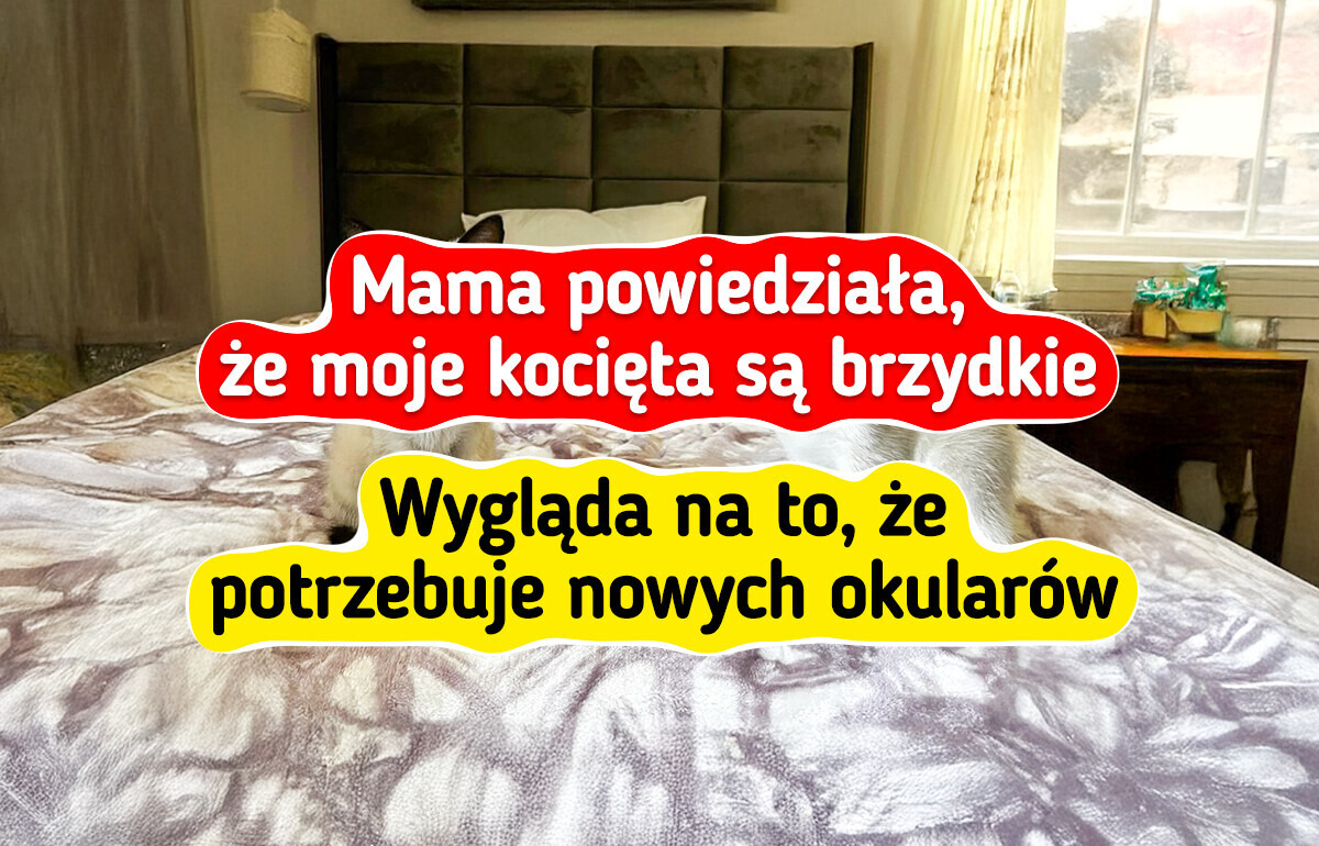 34 zdjęcia uroczych kotków, które poprawią ci humor