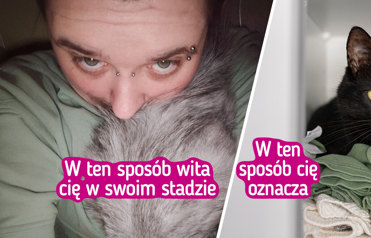 11 oznak, że twój pupil uwielbia twoje towarzystwo 11 oznak, że twój pupil uwielbia twoje towarzystwo