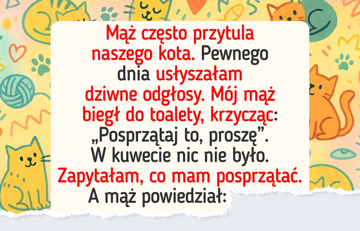 24 dowody na to, że właściciele kotów są szczęściarzami 24 dowody na to, że właściciele kotów są szczęściarzami