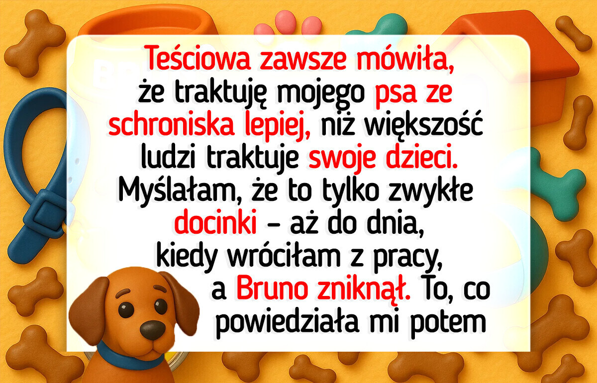 Teściowa przekroczyła granicę — nie szanuje mojego psa