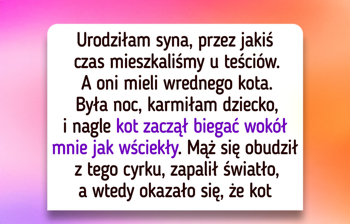 24 osoby, które nie od razu nawiązały nić porozumienia ze zwierzakiem