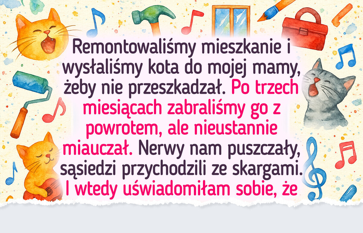 19 zabawnych historii o szalonych psotach naszych zwierzaków 19 zabawnych historii o szalonych psotach naszych zwierzaków