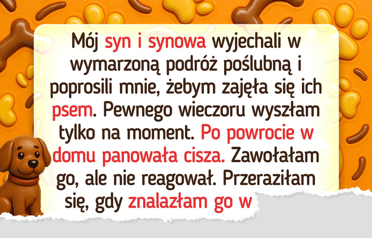 Miałam tylko przypilnować psa. Przez jedną chwilę słabości mogłam go stracić Miałam tylko przypilnować psa. Przez jedną chwilę słabości mogłam go stracić