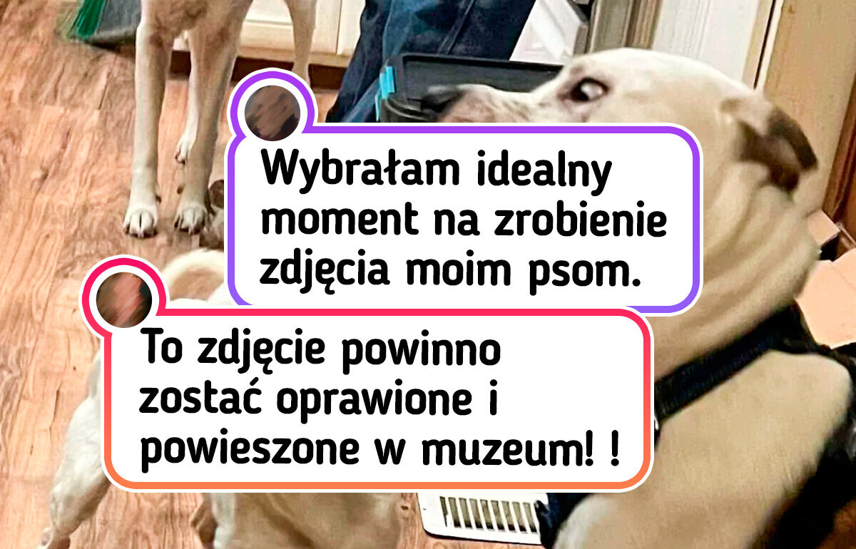 20 ujęć, które zaskoczyły nawet samego fotografa
