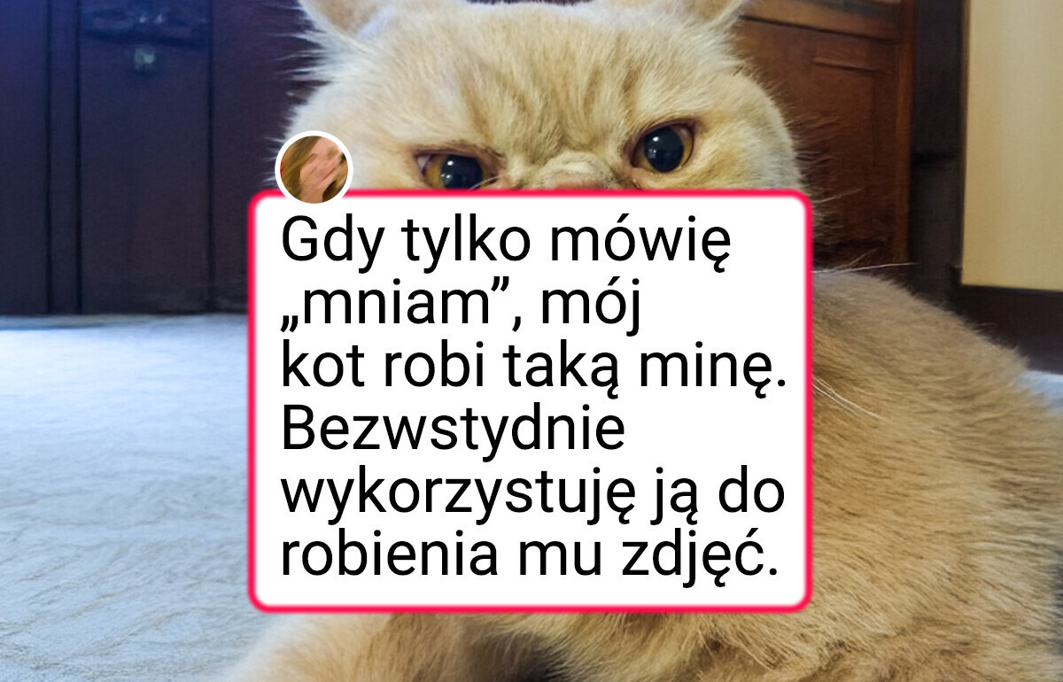 24 zdjęcia uroczych zwierzaków, które rozbawią was do łez