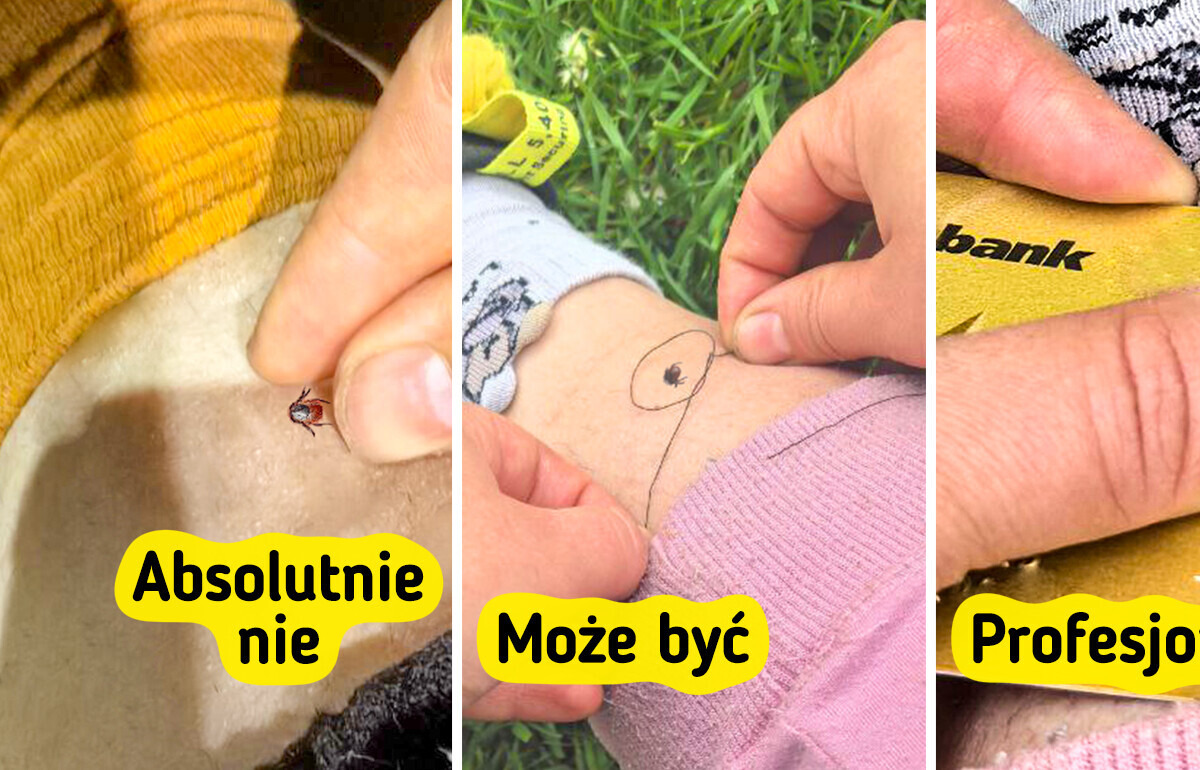 Dwie niezawodne metody na usunięcie kleszcza przy pomocy tego, co masz pod ręką