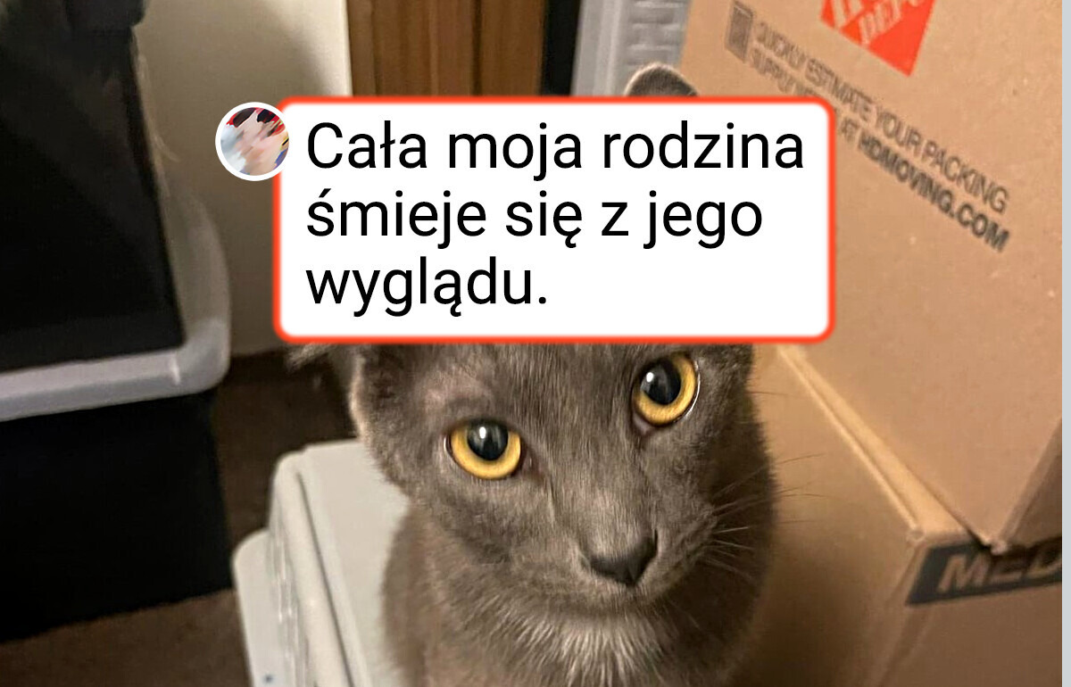 15 wyjątkowych zwierzaków, które zostały obdarowane przez naturę nietypowym wyglądem